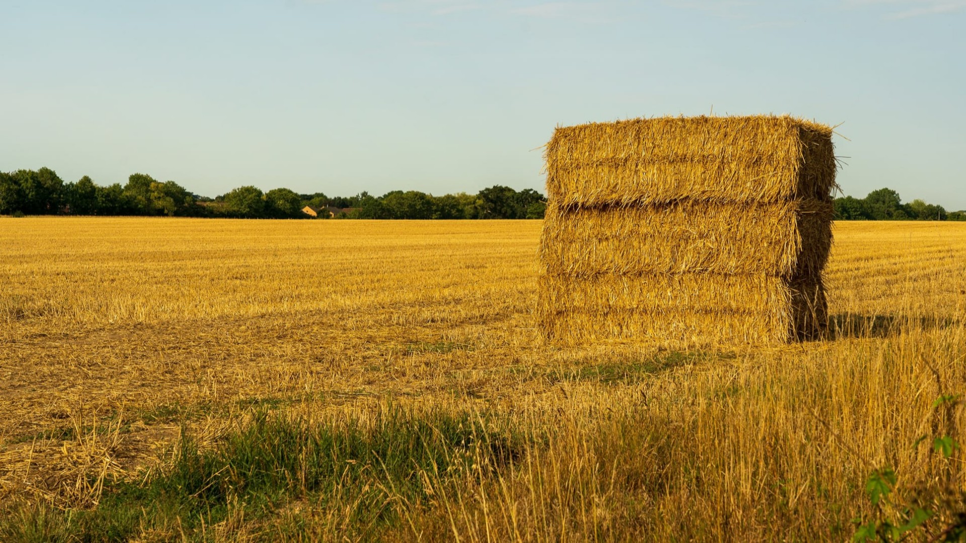 seno_nagrev_pri_hranenii