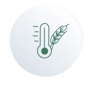 Измерение температуры зерна при хранении