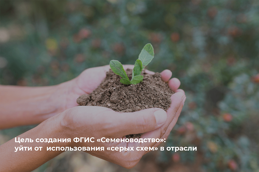 ФГИС Семеноводство регистрация