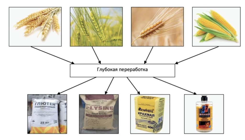 продукты глубокой переработки зерна