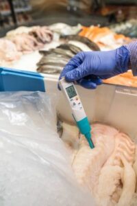 Testo 206-pH2