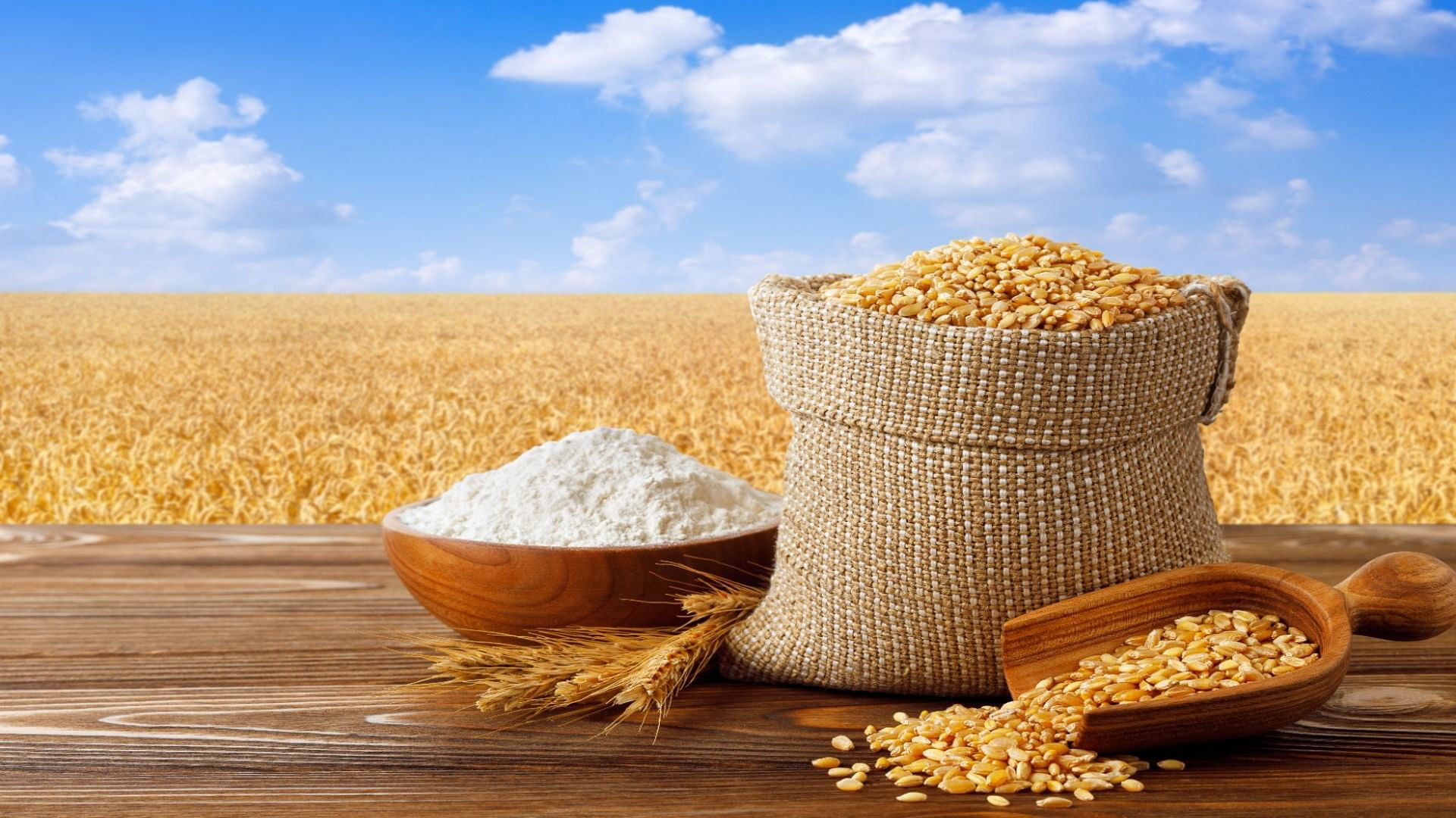 agrotehsem