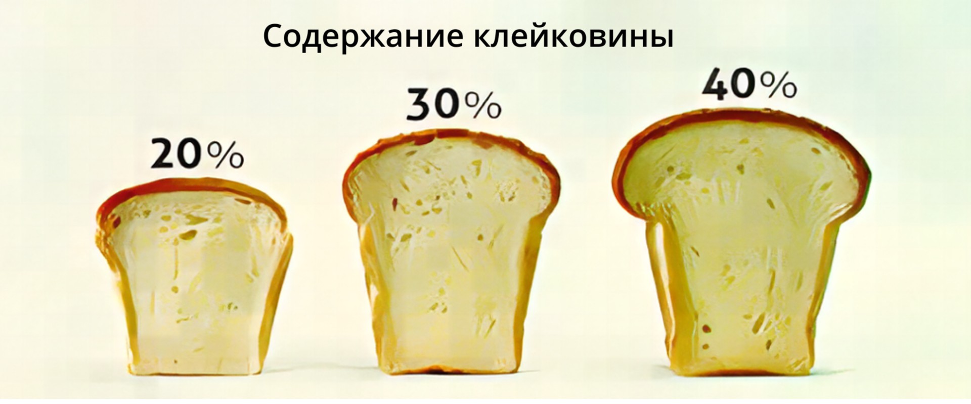 kleykovina_hleb