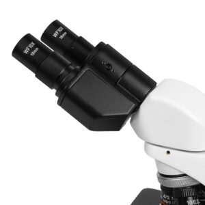 micromed-р-2b