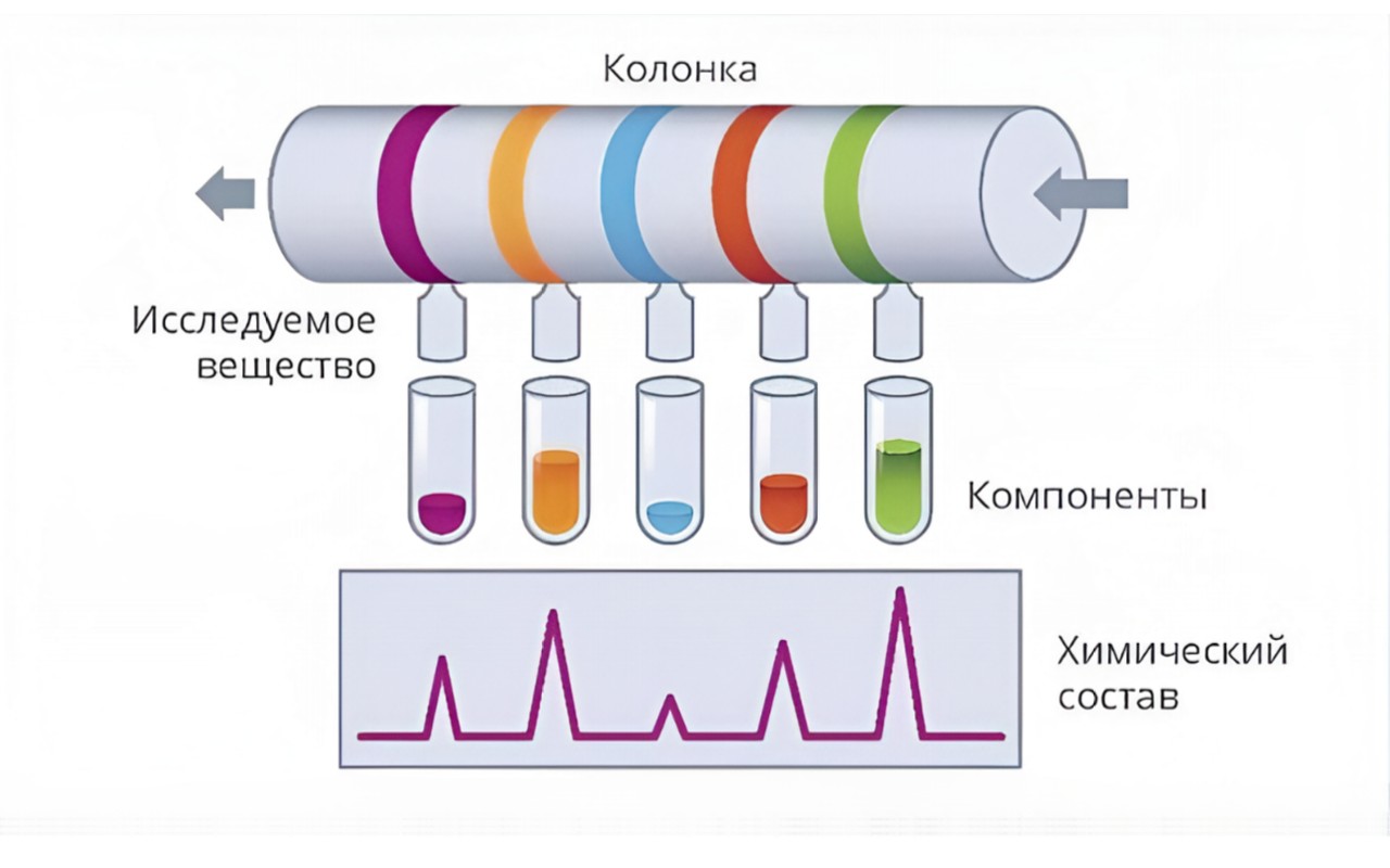 kolonki-dlya-hg