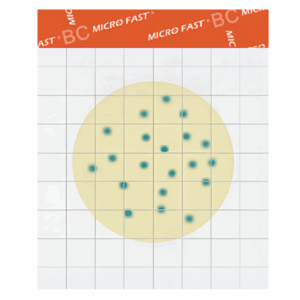 MicroFast Bacillus cereus Count Plate