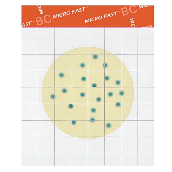 MicroFast Bacillus cereus Count Plate