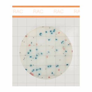 MicroFast Rapid Aerobic Count Plate