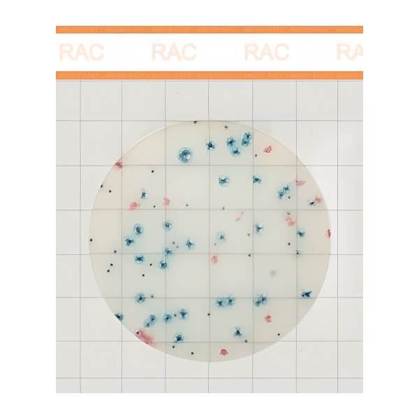 MicroFast Rapid Aerobic Count Plate