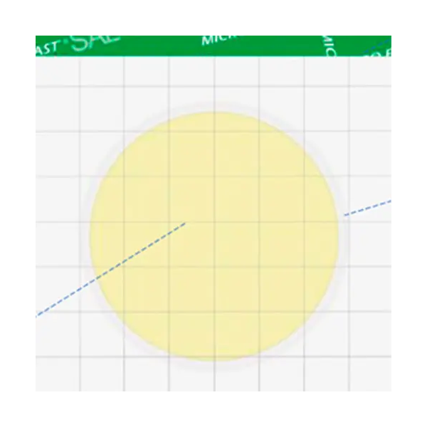 MicroFast Salmonella Count Plate
