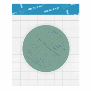 MicroFast Staphyloccocus aureus Confirmation Plate