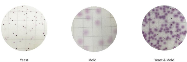 MicroFast Yeast & Mold Count Plate