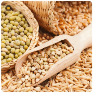 Оборудование для исследования зерна и масличных