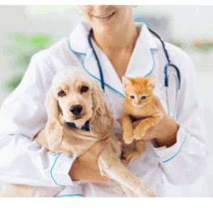 Лабораторное ветеринарное оборудование