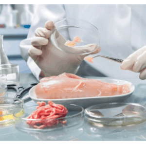 Тест-системы для анализа пищевых продуктов