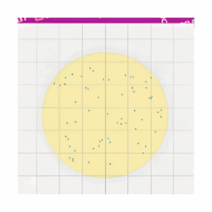 MicroFast Environmental Listeria Count Plate