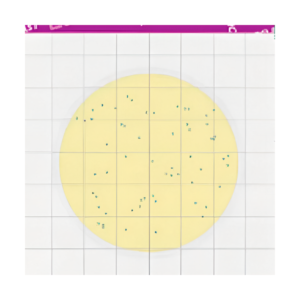 MicroFast Environmental Listeria Count Plate