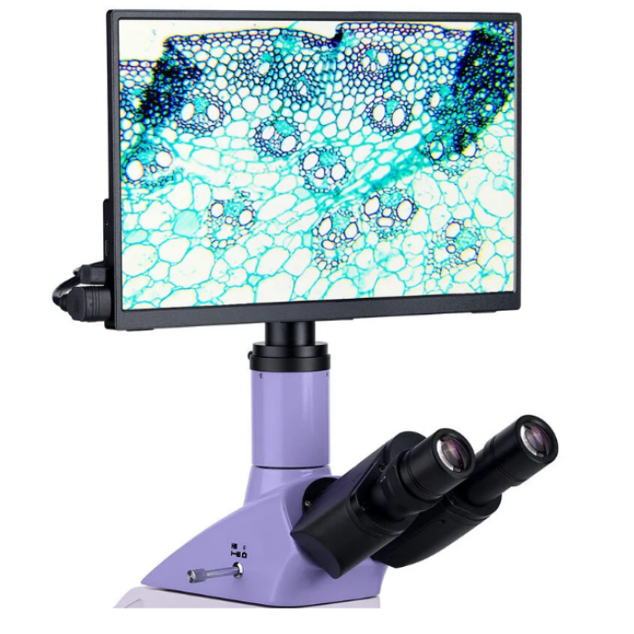 MAGUS Bio D230T LCD