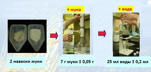определение числа падения