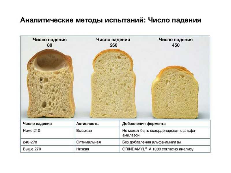 число падения