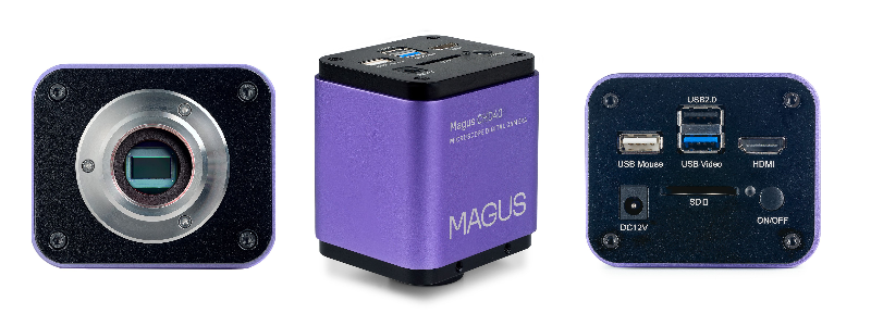 MAGUS Pol D800 LCD