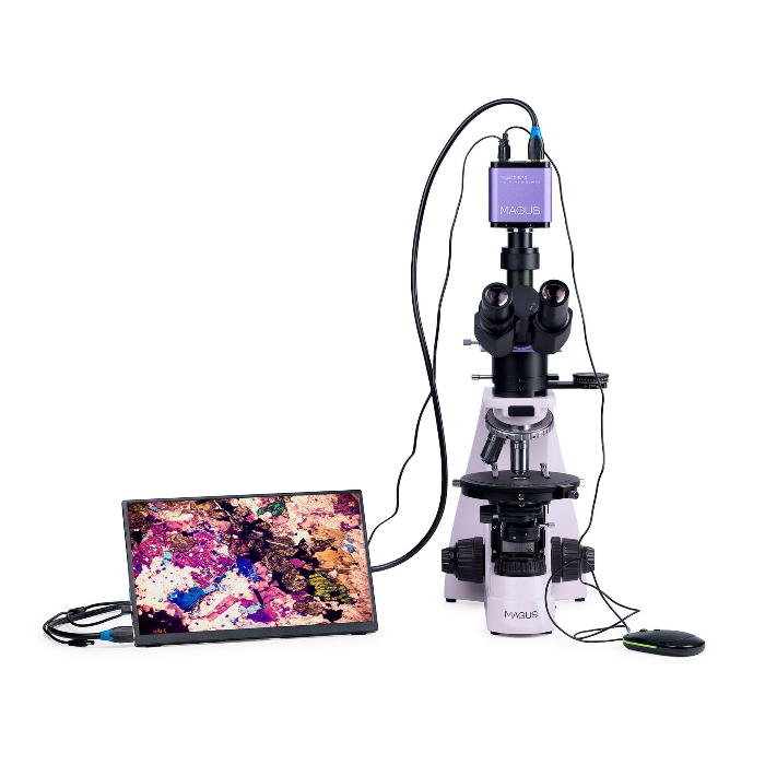 MAGUS Pol D800 LCD