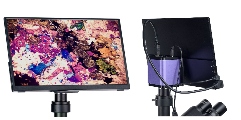 MAGUS Pol D800 LCD