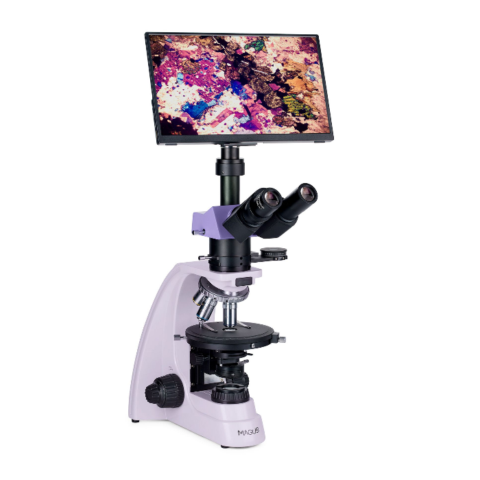 MAGUS Pol D800 LCD
